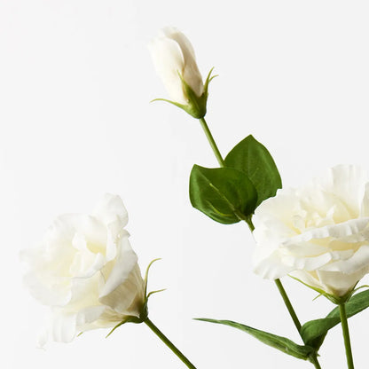 Lisianthus Stem - White