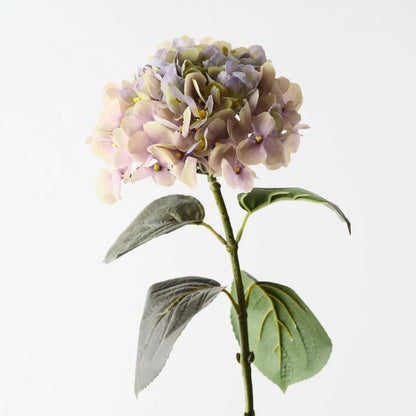 Hydrangea - Green Purple - 66 cml