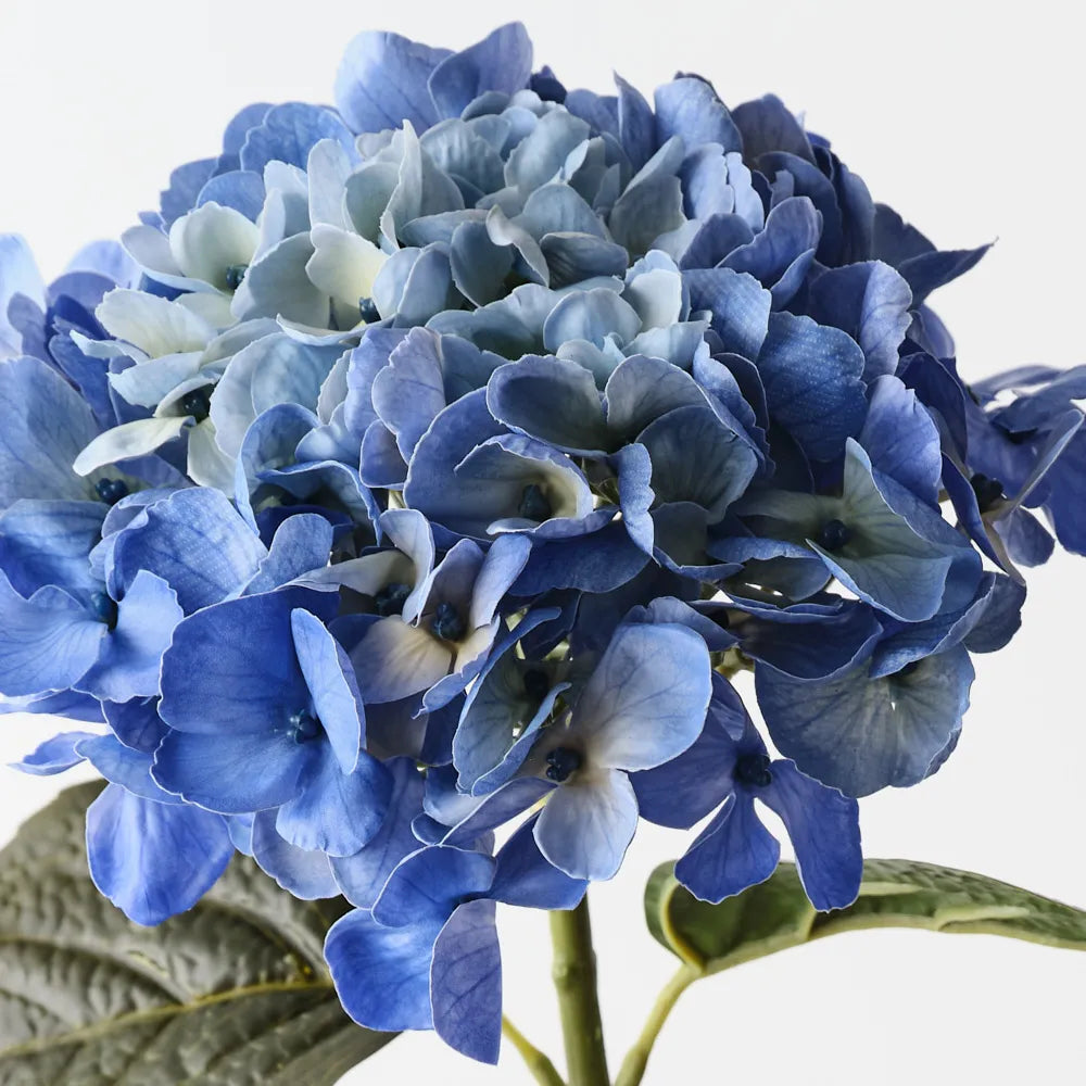 Hydrangea - Royal Blue - 66cml