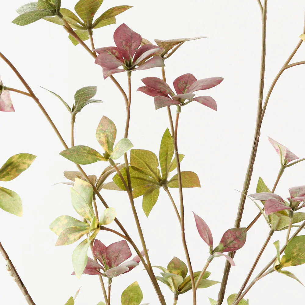 Enkianthus Leaf Spray - Green / Pink