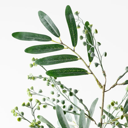 Seed Spray 66cm
