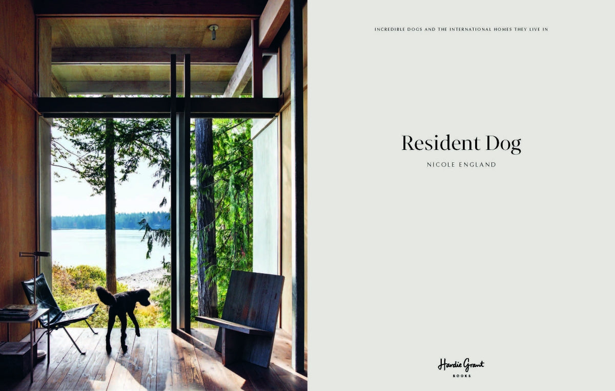 Resident Dog (Volume 2)
