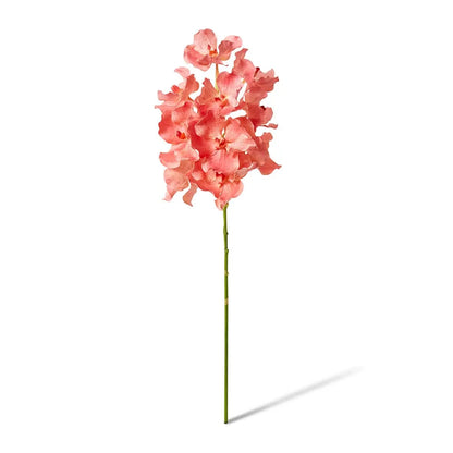 Vanda Grand Orchid - Blush - 25x25x71cm