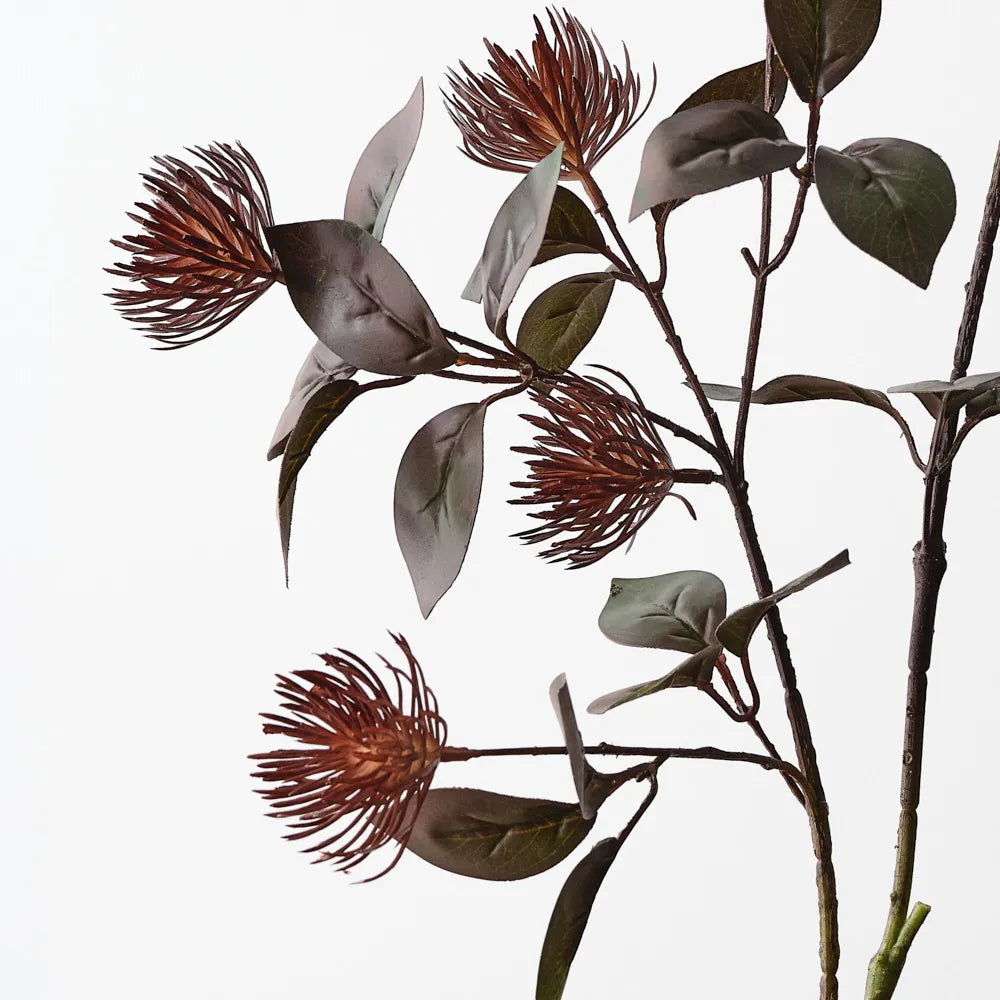 Leucospermum Protea Spray