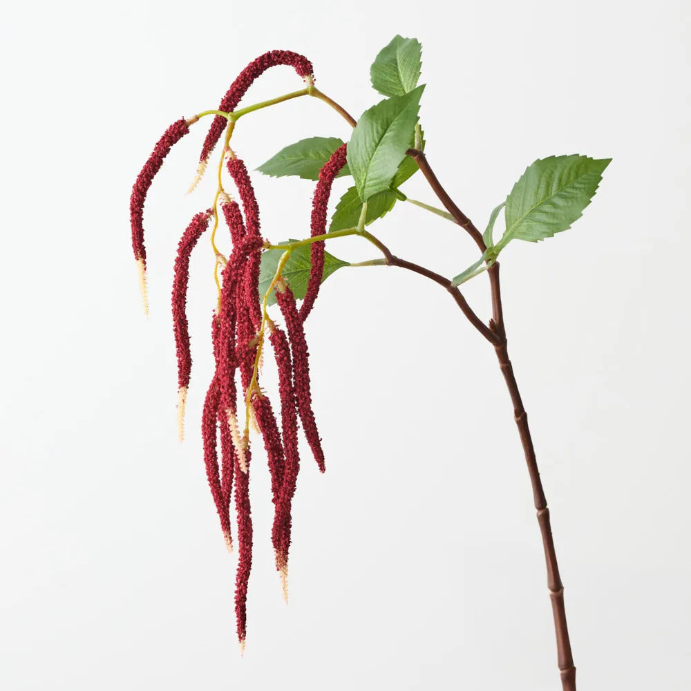 Amaranthus Spray - Burgundy