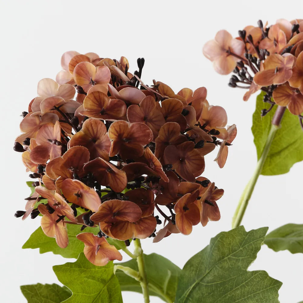 Hydrangea Spray - Burnt Orange