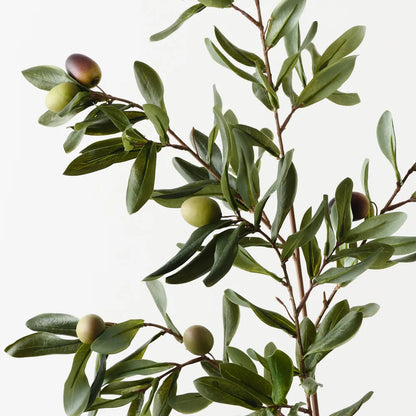Olive Leaf Spray - Green Burgundy - 96cm