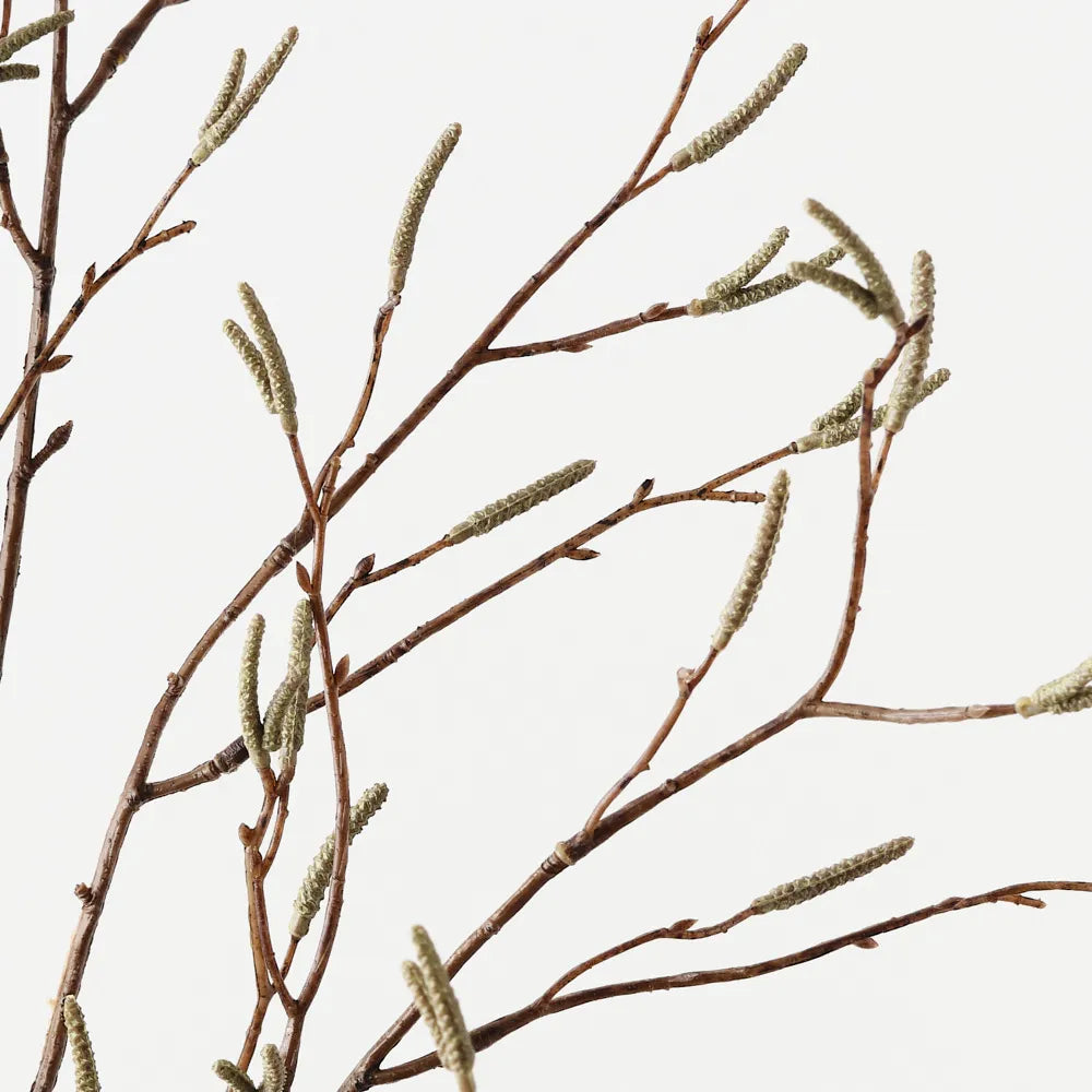 Birch Berry Spray