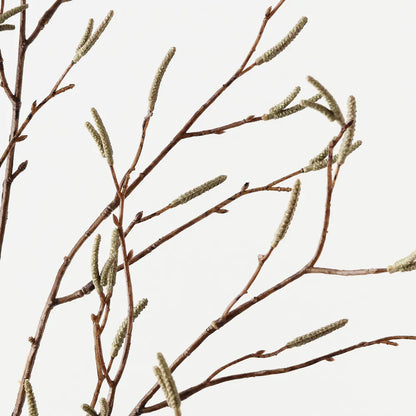 Birch Berry Spray