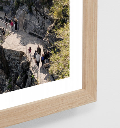 Cinque Terre Landscape  Print