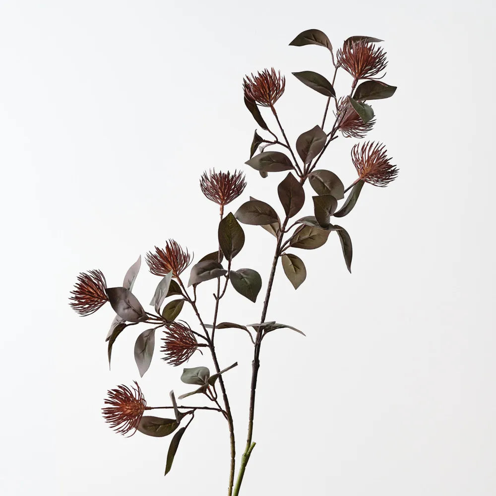 Leucospermum Protea Spray