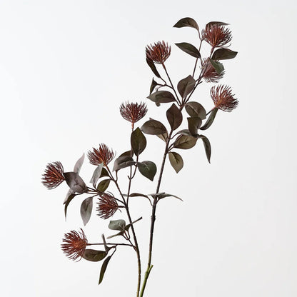 Leucospermum Protea Spray