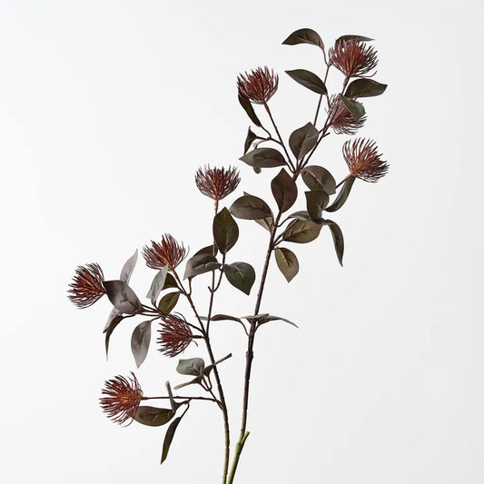 Leucospermum Protea Spray