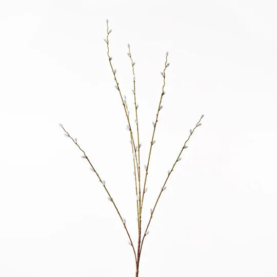 Pussy Willow Spray Natural