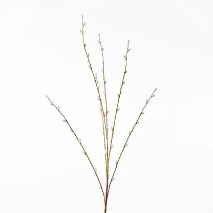 Pussy Willow Spray Natural