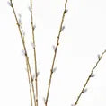 Pussy Willow Spray Natural