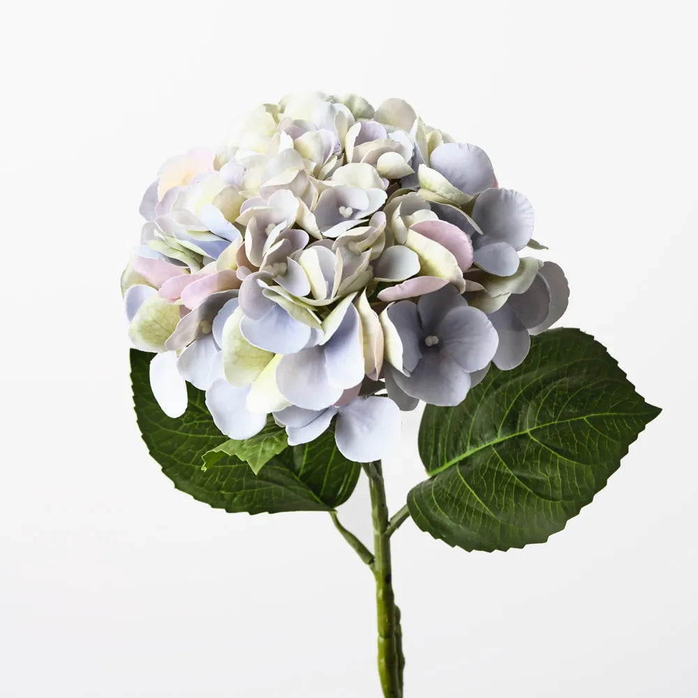 Hydrangea - Lavender 60cml
