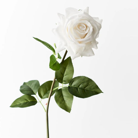 Rose Hannah Winter White