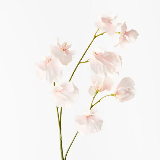Sweet Pea Spray Soft Pink