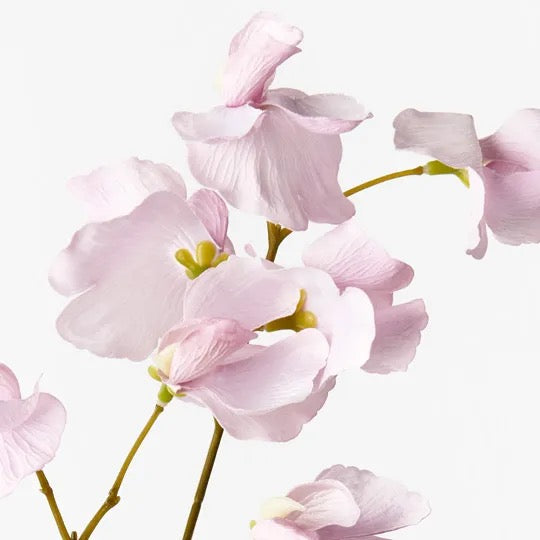 Sweet Pea Spray Lavender