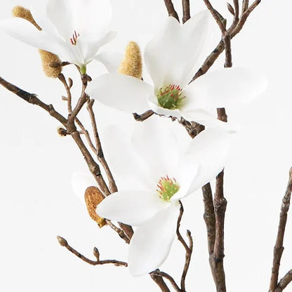 Magnolia Tree Spray White