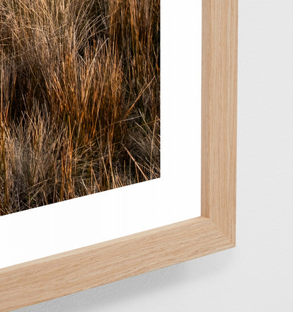Coastal Hike Print