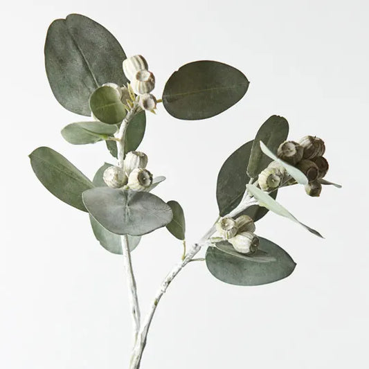 Eucalyptus Tetragona Spray