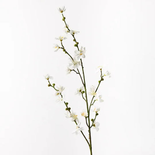 Blossom Cherry