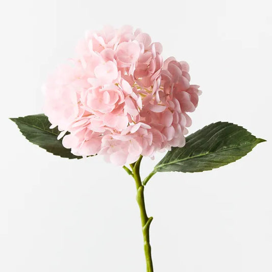 Hydrangea Light Pink