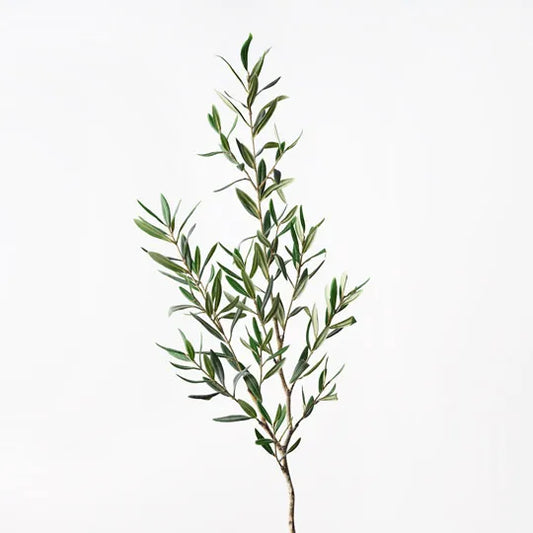 122cml Long Olive Leaf Spray - Grey Green